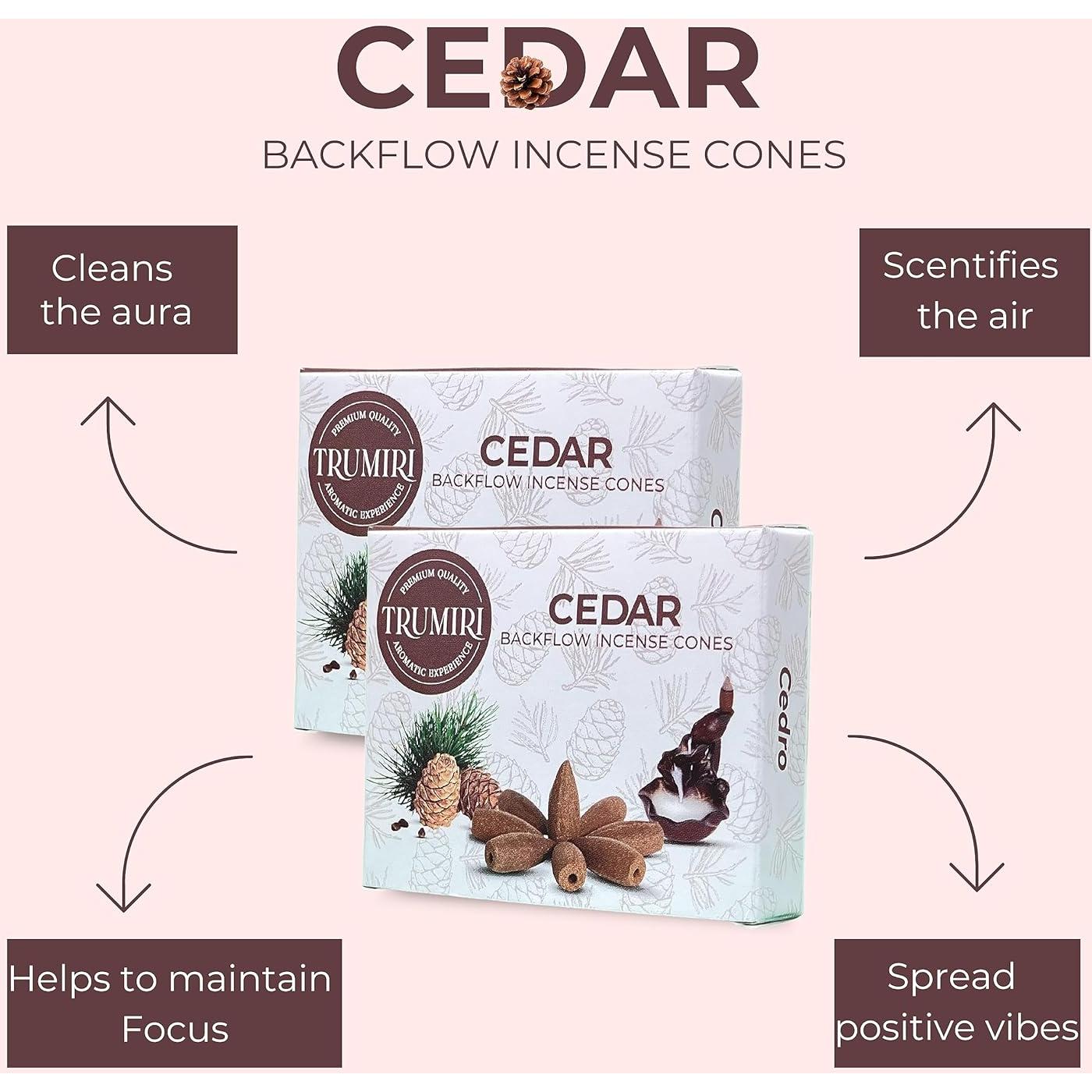Conos de Incienso de Retroceso TRUMIRI - 60 Unidades Cedro