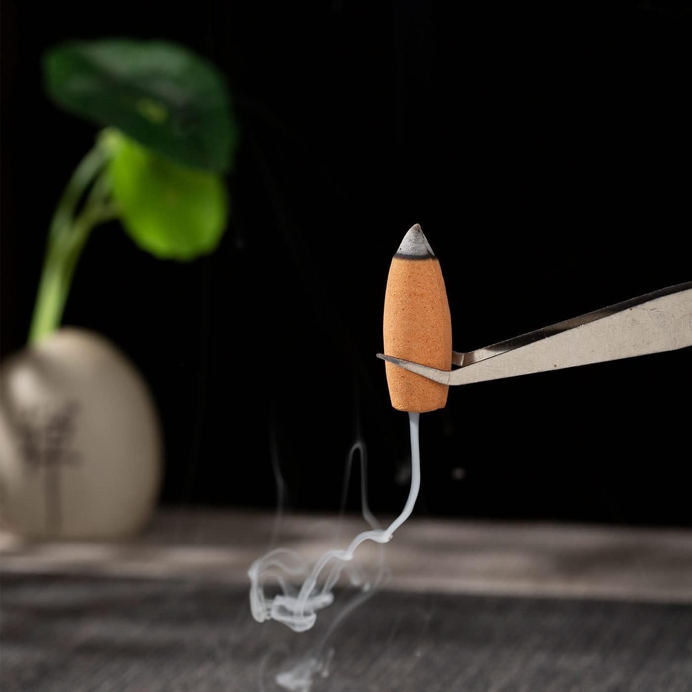 120 Conos de Incienso Retroceso Fasolahome - Lavanda, Sándalo, Rosa, Flor de Cerezo