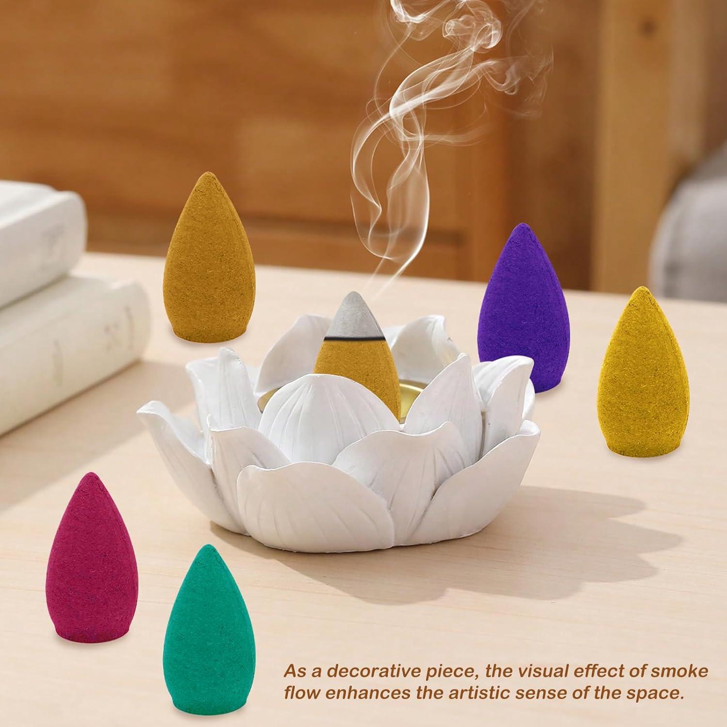 Conos de Incienso de Retroceso Lagincig 110 Pcs 6 Aromas Naturales