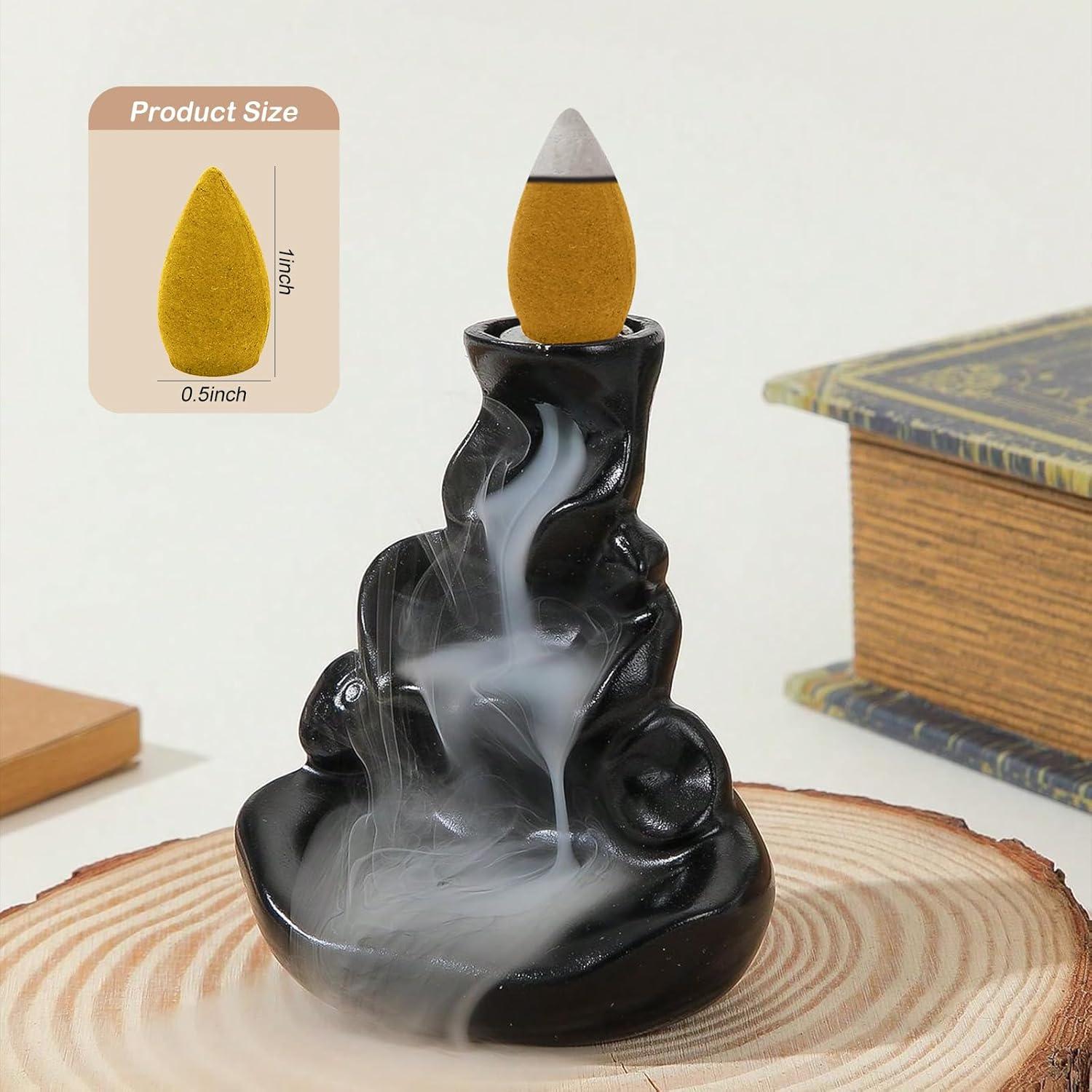 Conos de Incienso de Retroceso Lagincig 110 Pcs 6 Aromas Naturales