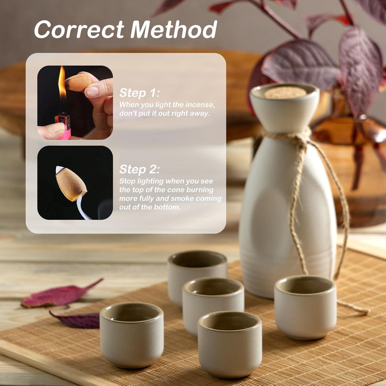 Conos de Incienso de Retroceso Lagincig 110 Pcs 6 Aromas Naturales