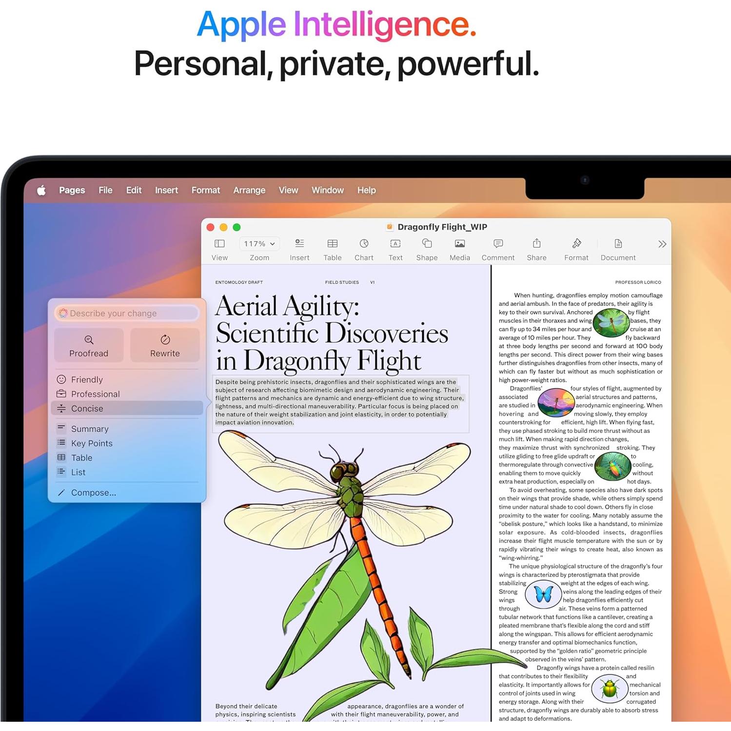 Apple MacBook Air 2025 15" M4 16GB 256GB SSD Medianoche