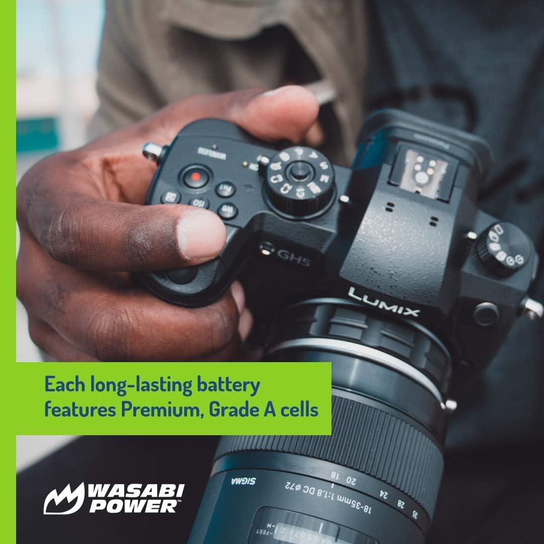 Kit de Baterías Wasabi Power DMW-BLF19 y Cargador USB Dual