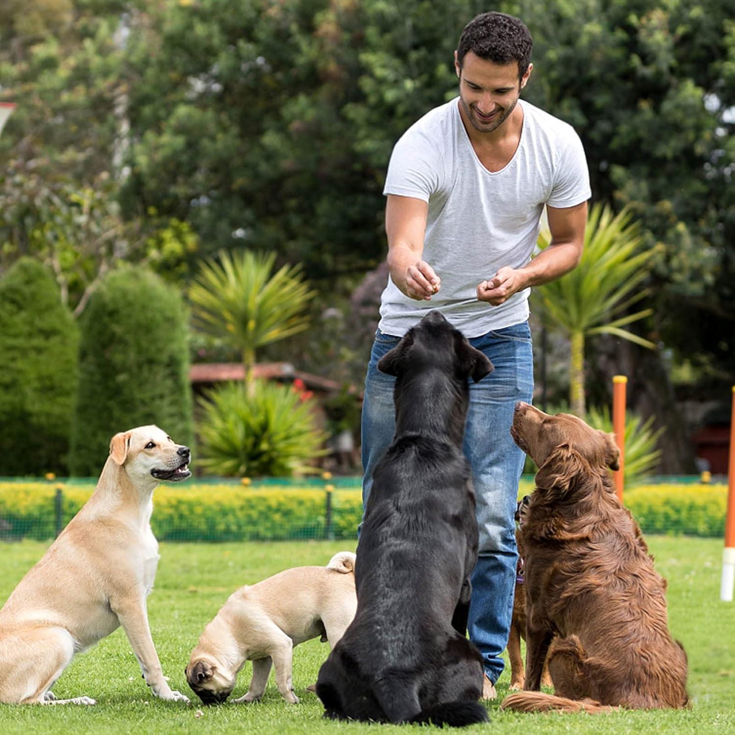 Molde de Silicona Mini Estrella BTYMS 112 Cavidades 30x20 cm