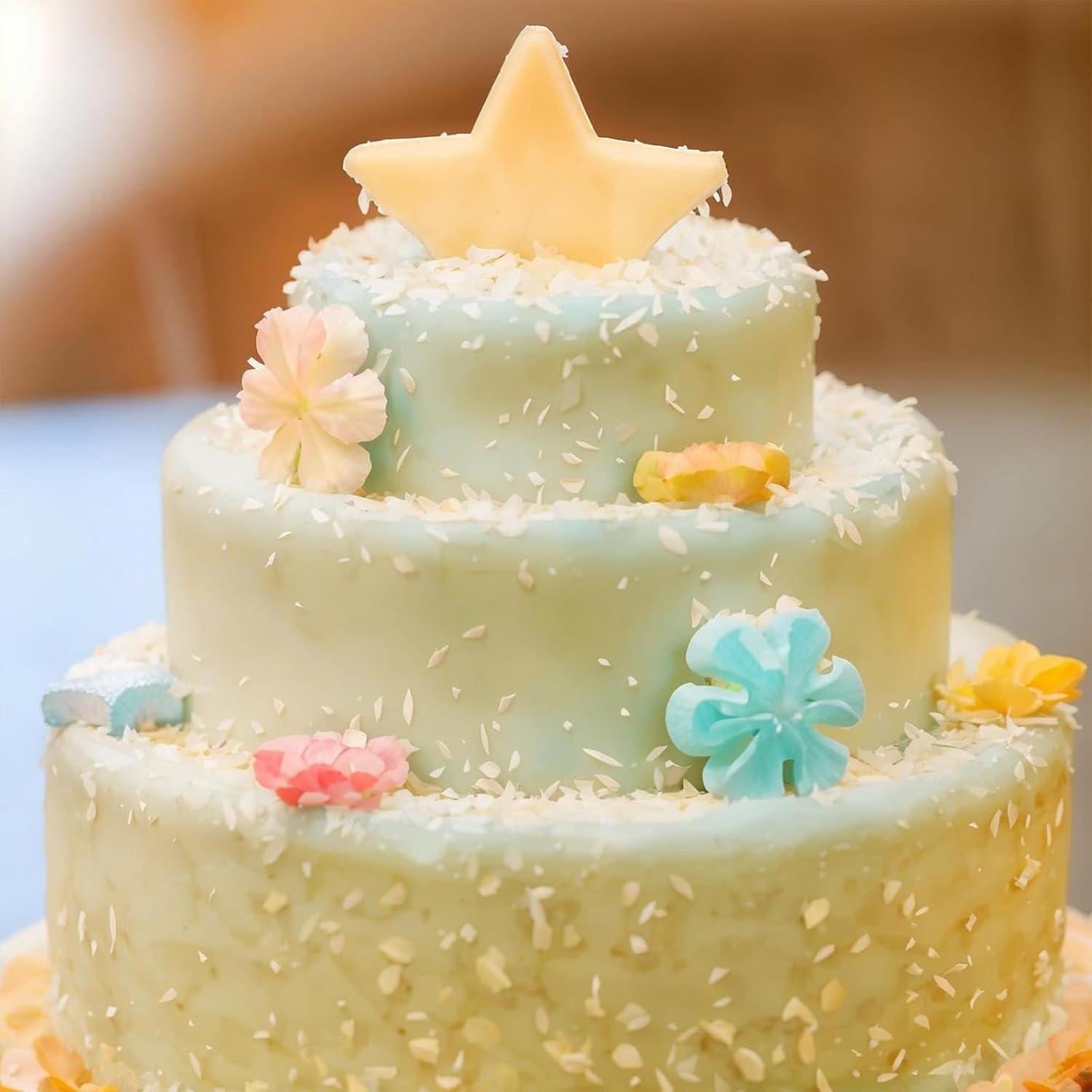 Molde de Silicona 3D Fchil Estrella 12 Cavidades 22x14 cm