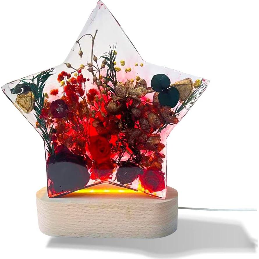 Molde de Silicona Estrella FineInno 19.8x19.1x4.6 cm para Resina