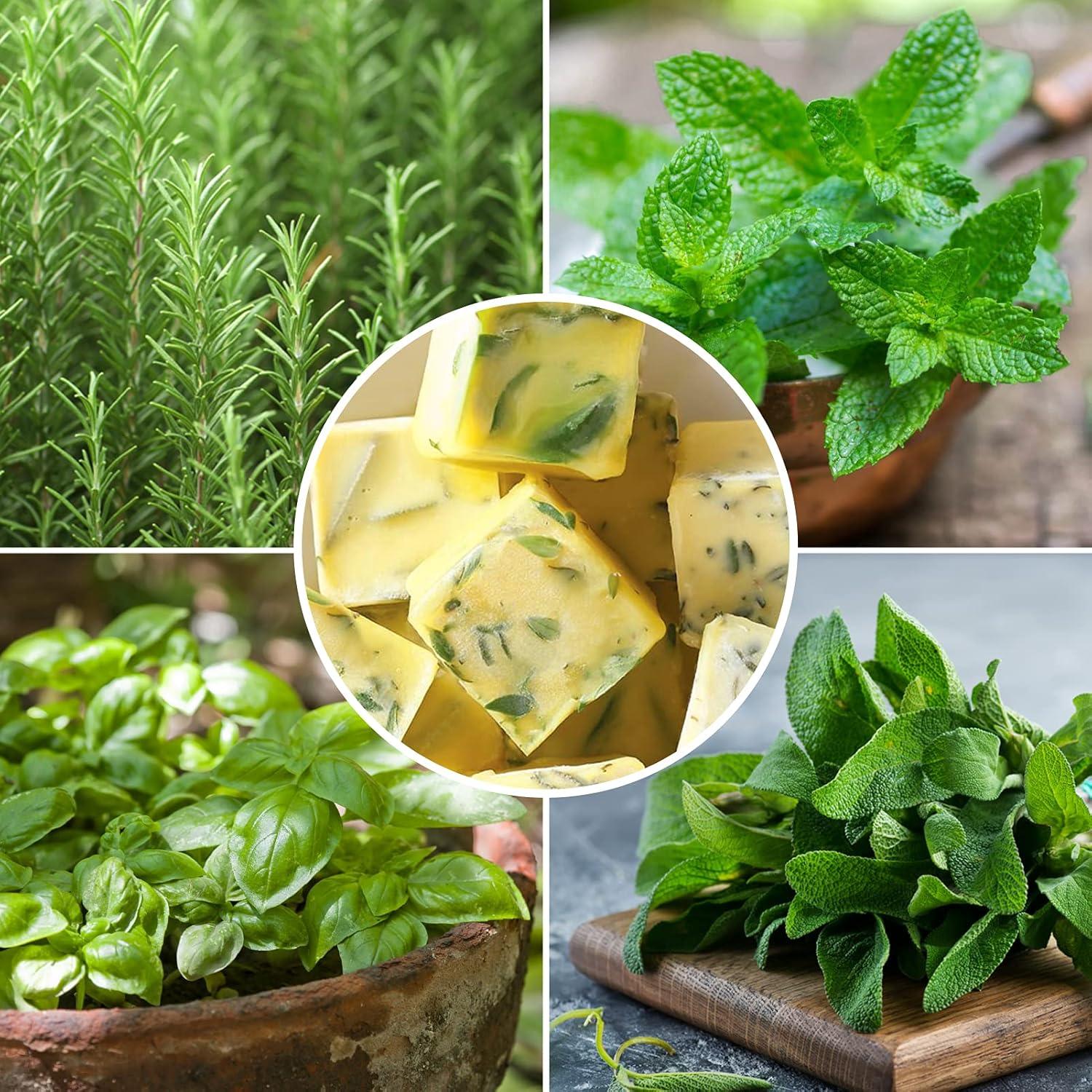 Moldes de Silicona AIERSA para Cubos de Aceite Infusionado 32 Cavidades