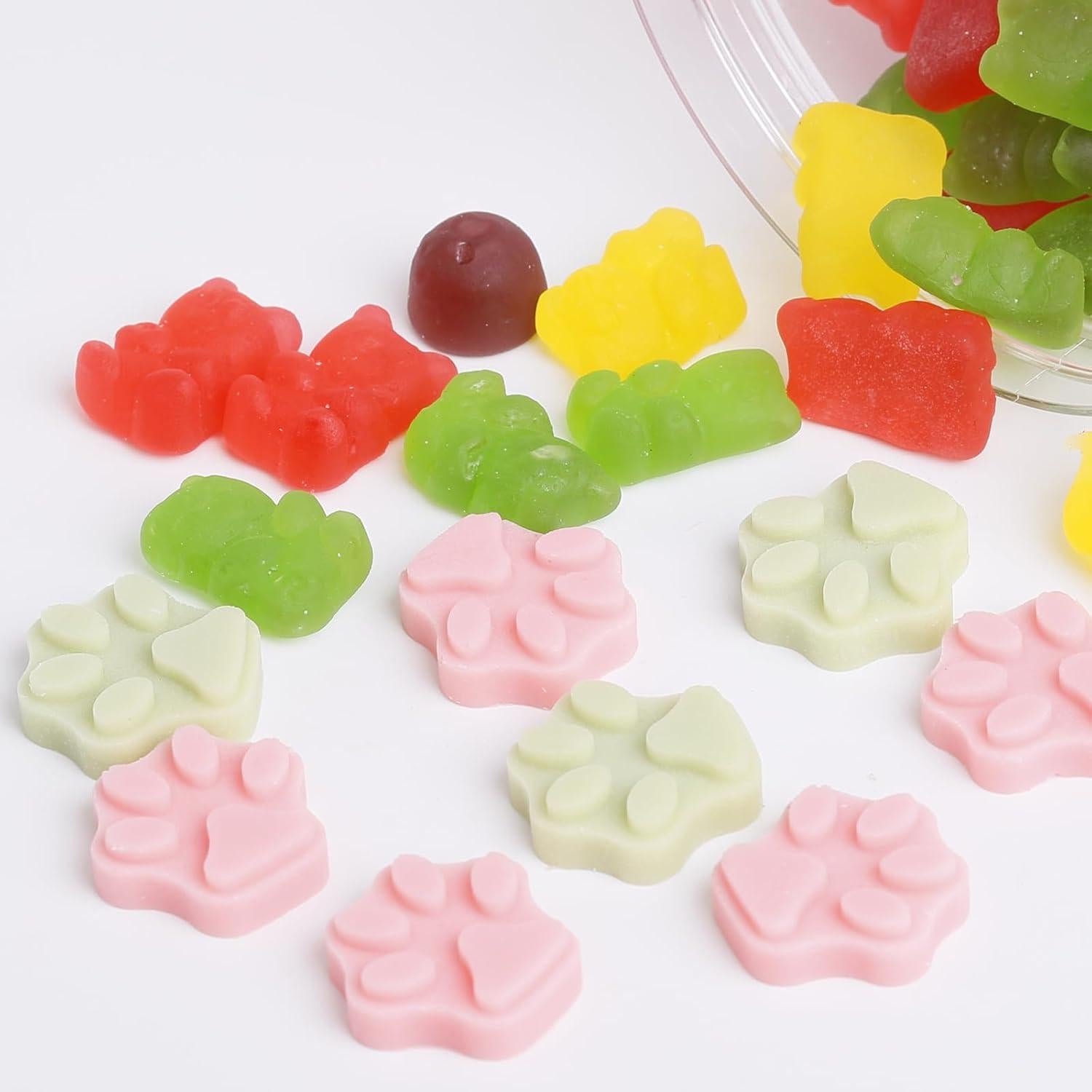 Molde de Silicona Huella de Pata Amyandone 69 Cavidades