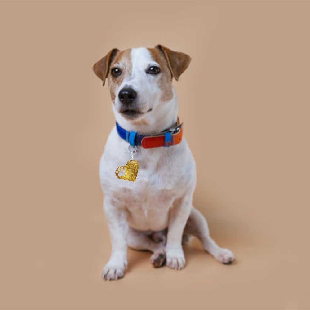 Molde de Huella de Perro de Silicona GrWisdAT - 3 Piezas Azul