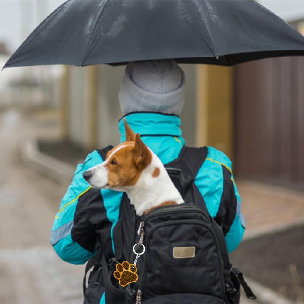 Molde de Huella de Perro de Silicona GrWisdAT - 3 Piezas Azul