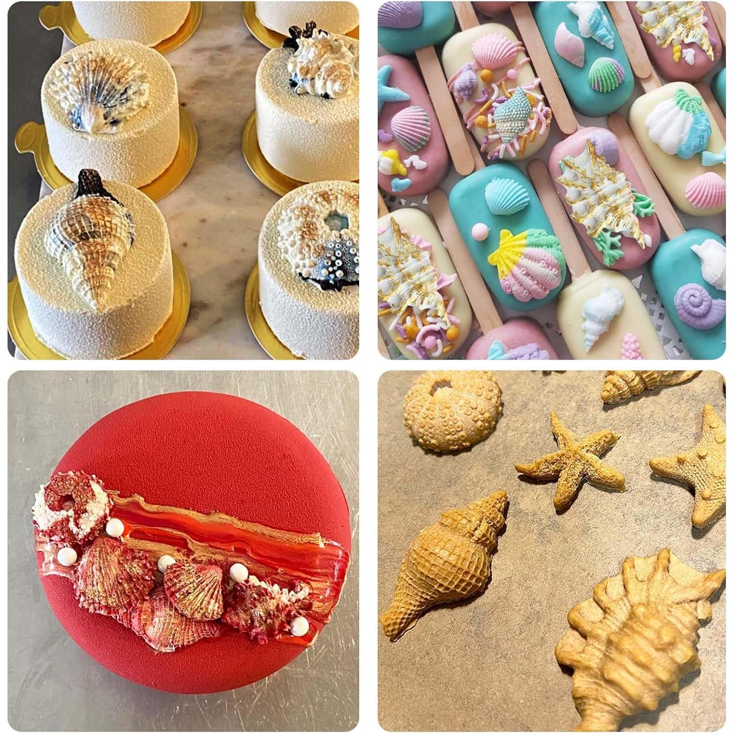 Molde de Silicona para Fondant Concha de Mar Muyulin - 3 Piezas