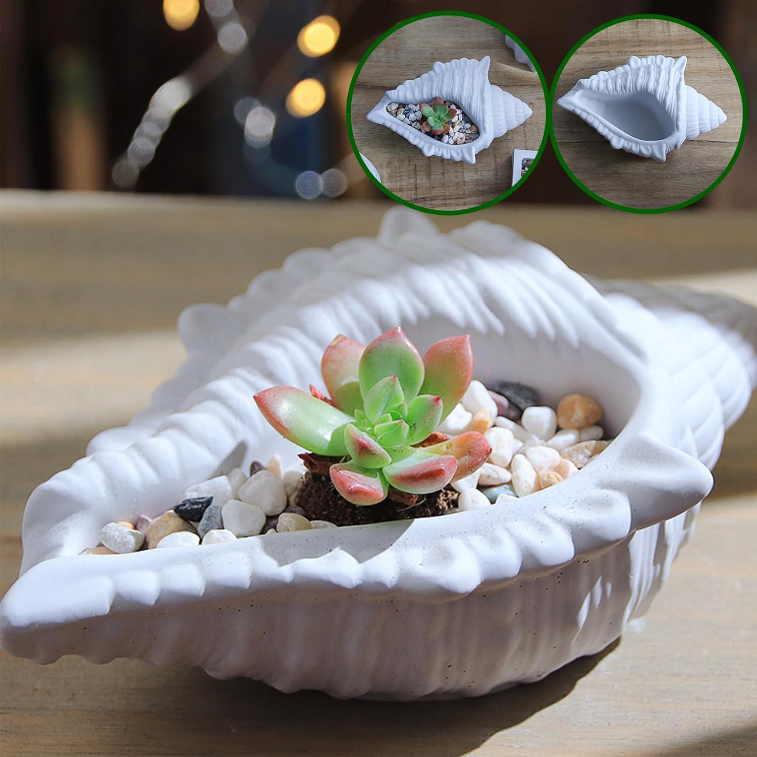 Molde de Silicona Wehous en Forma de Concha 16.5x11.4cm