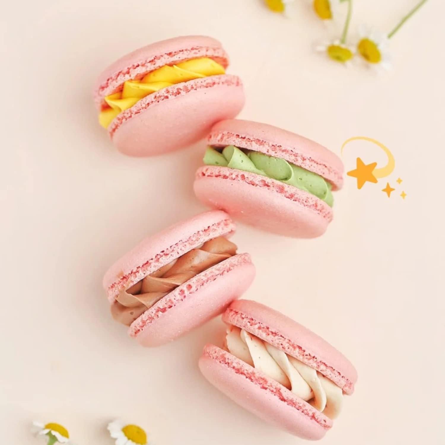 Molde de Silicona para Macarons Sijiangmold 6 Cavidades