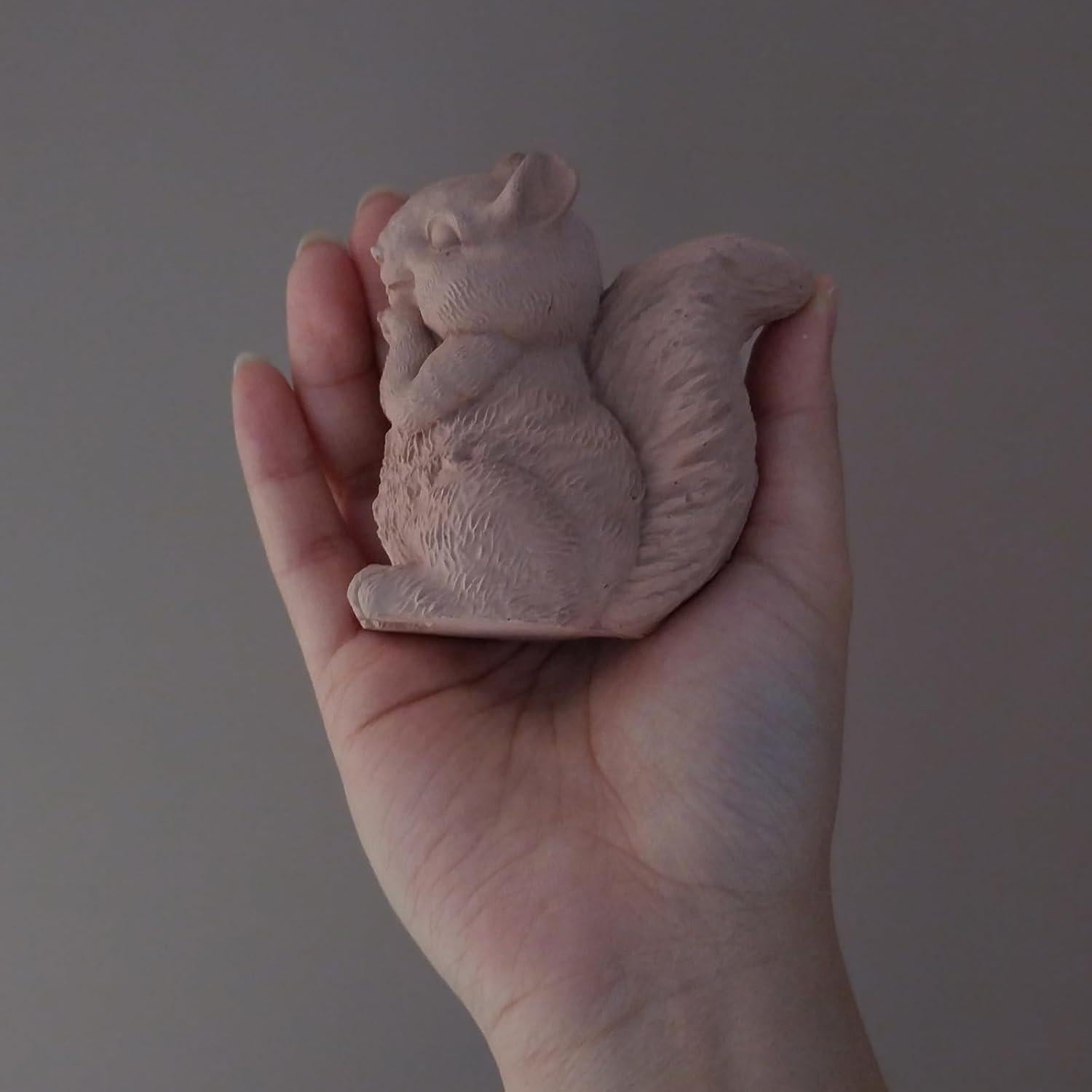 Molde de Silicona Ardilla Japleed para Jabón y Vela 3D