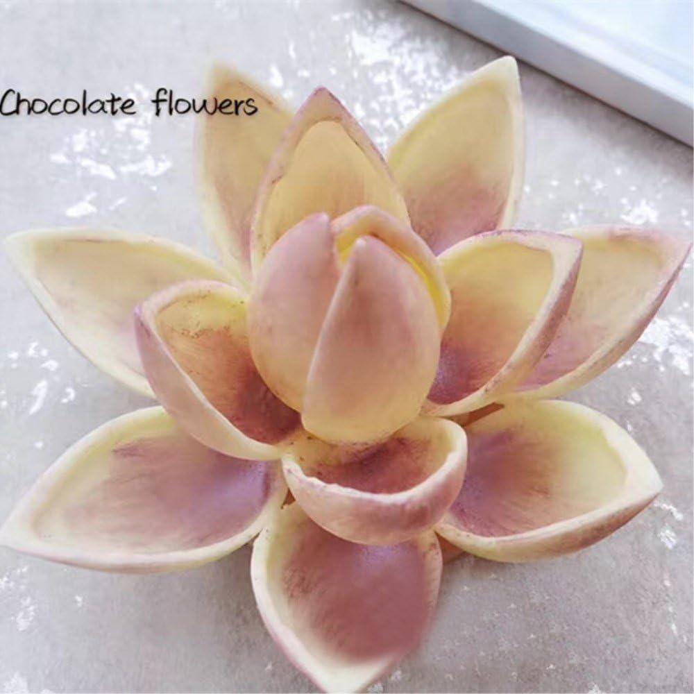 Molde de Chocolate Policarbonato GRAINRAIN 27.5x13.5cm 12g