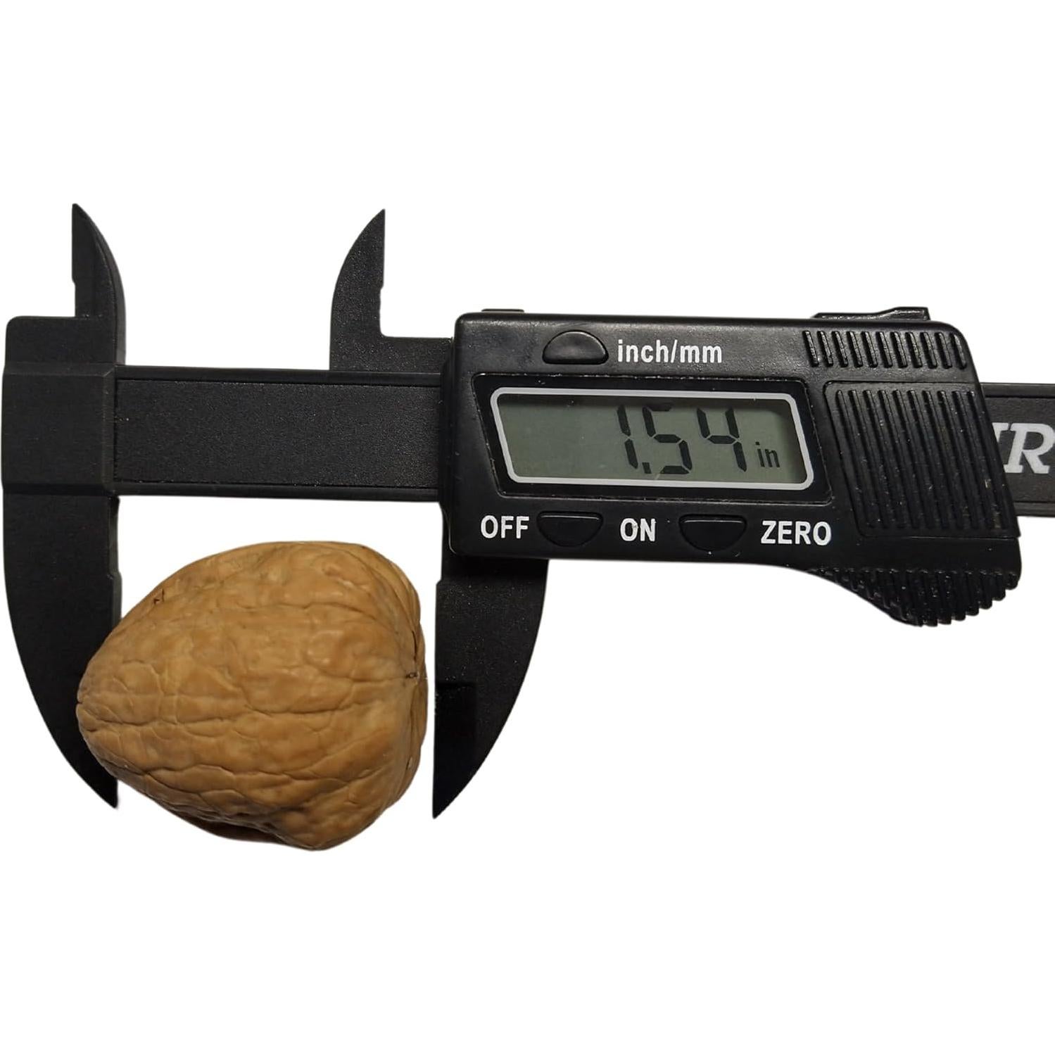 Molde de Silicona 3D Nuez Entera 2M Hand Crafts Verde