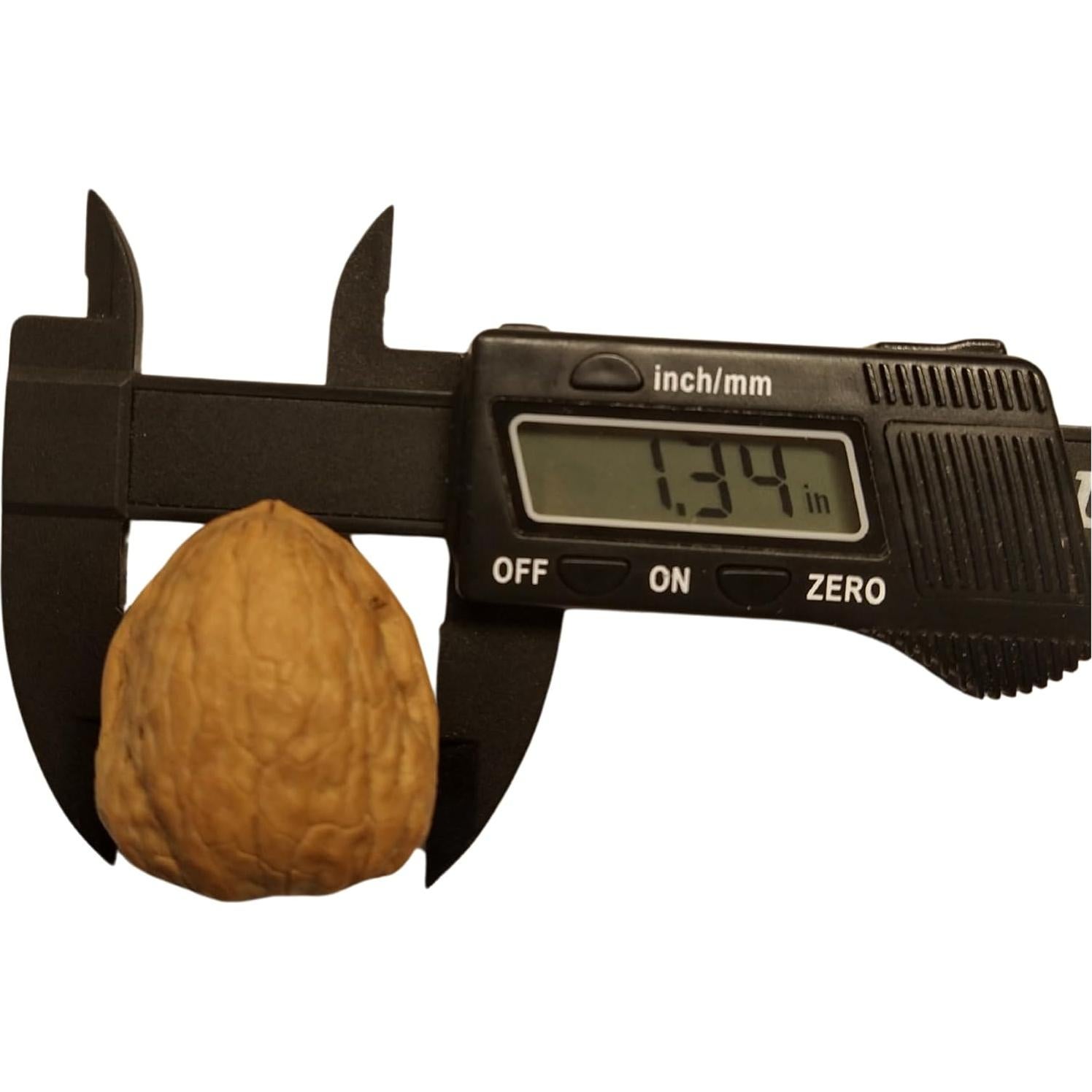 Molde de Silicona 3D Nuez Entera 2M Hand Crafts Verde