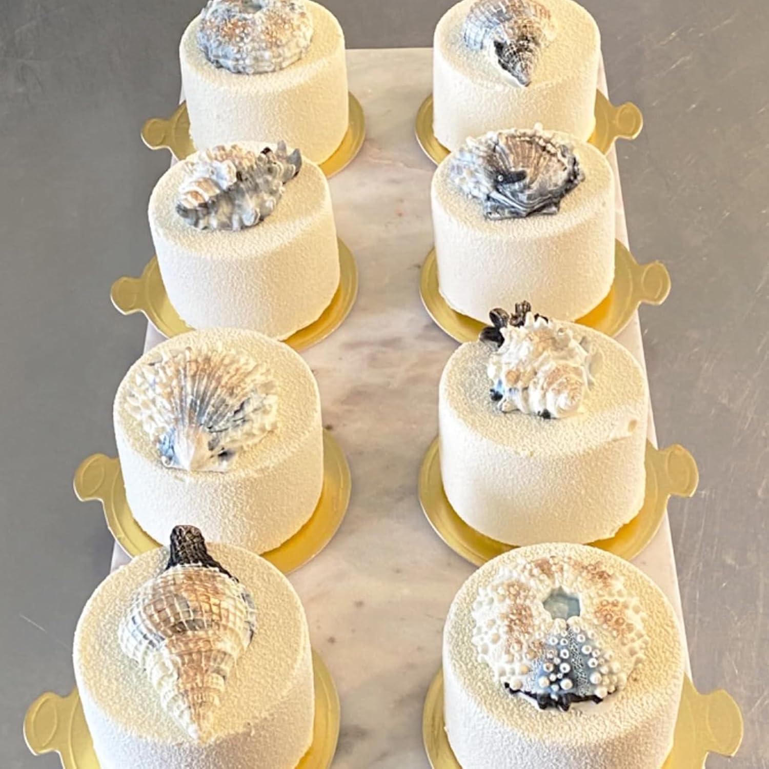 Set de 5 Moldes de Silicona Oceánicos ACVCATTO para Pasteles