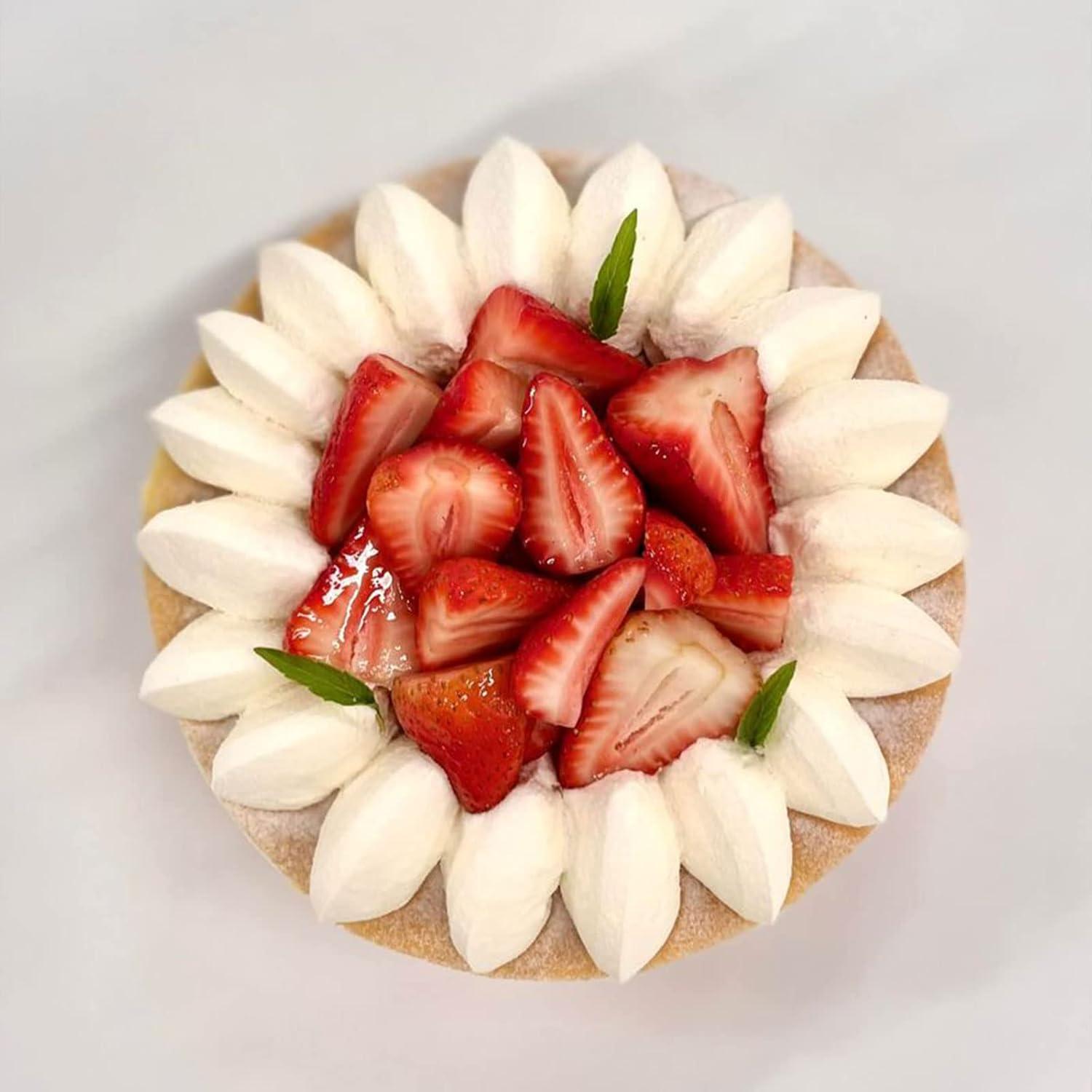 Moldes de Silicona 3D de Fresa YWZBOMOLDRM - 5 Pcs