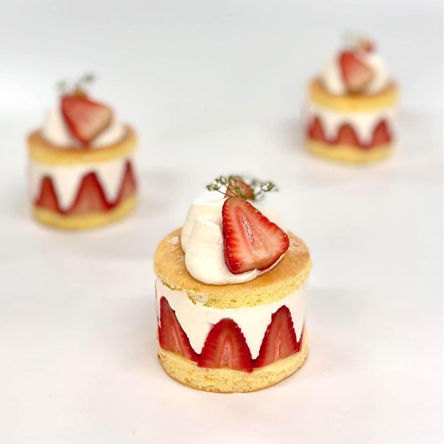 Moldes de Silicona 3D de Fresa YWZBOMOLDRM - 5 Pcs