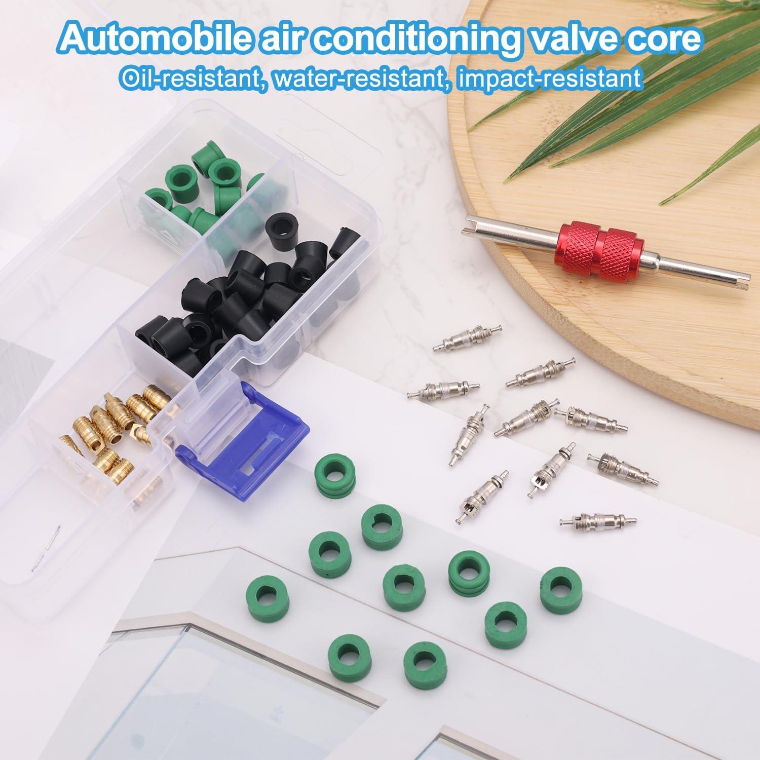 Kit de Reparación A/C de Coche 71pcs PEUTIER con Herramientas