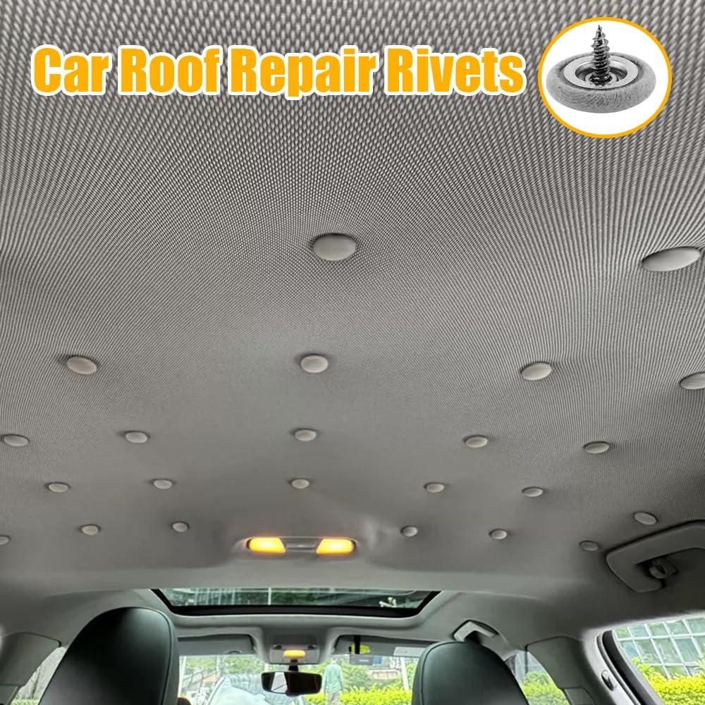 Kit de Reparación de Techo de Coche 60PCS Tecledsn Universal