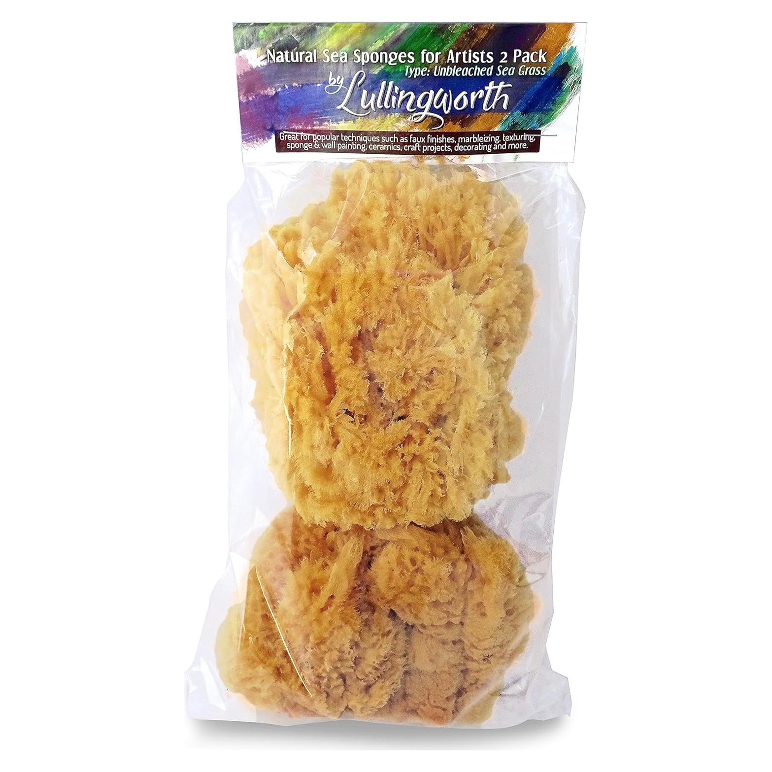 Esponjas Marinas Naturales Lullingworth - Paquete de 2 piezas 12.7-13.97 cm