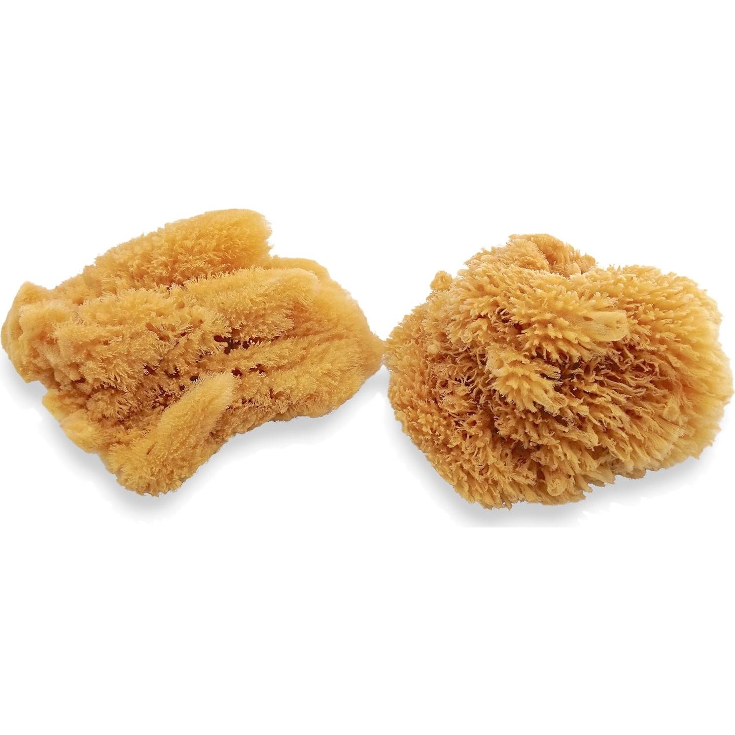 Esponjas Marinas Naturales Lullingworth - Paquete de 2 piezas 12.7-13.97 cm