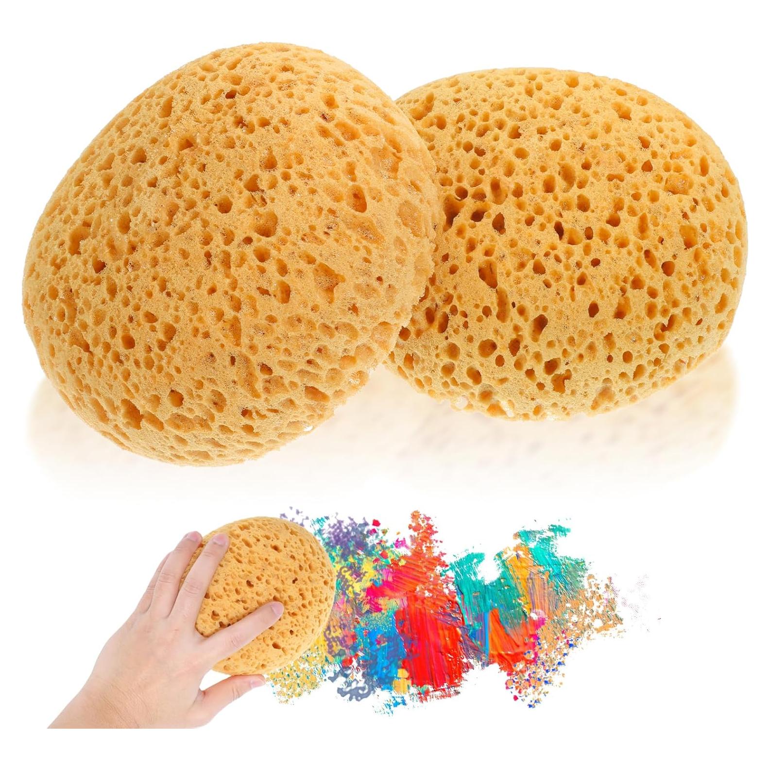 Esponjas Texturizadas para Pintura Ptwola - 2 Pcs 13.5x11.5 cm