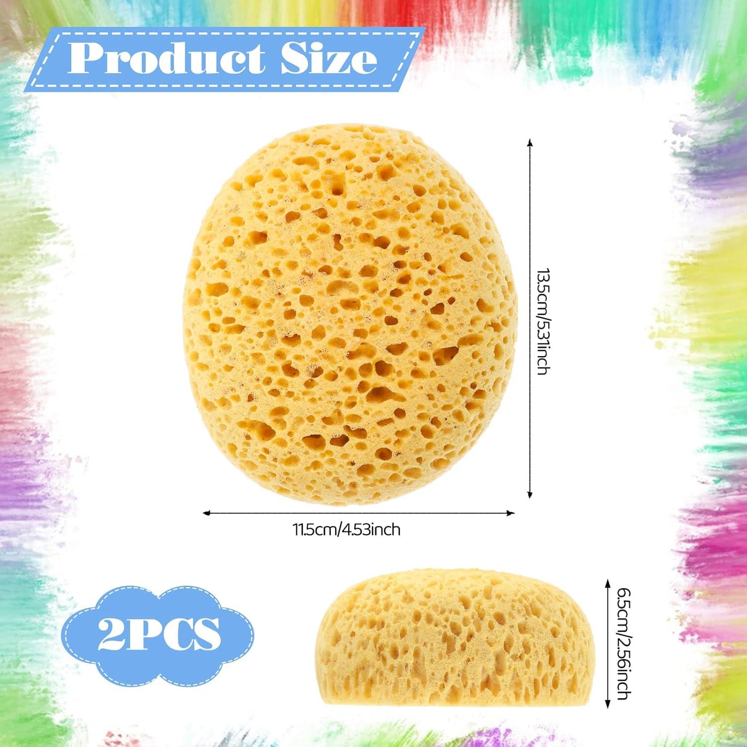 Esponjas Texturizadas para Pintura Ptwola - 2 Pcs 13.5x11.5 cm