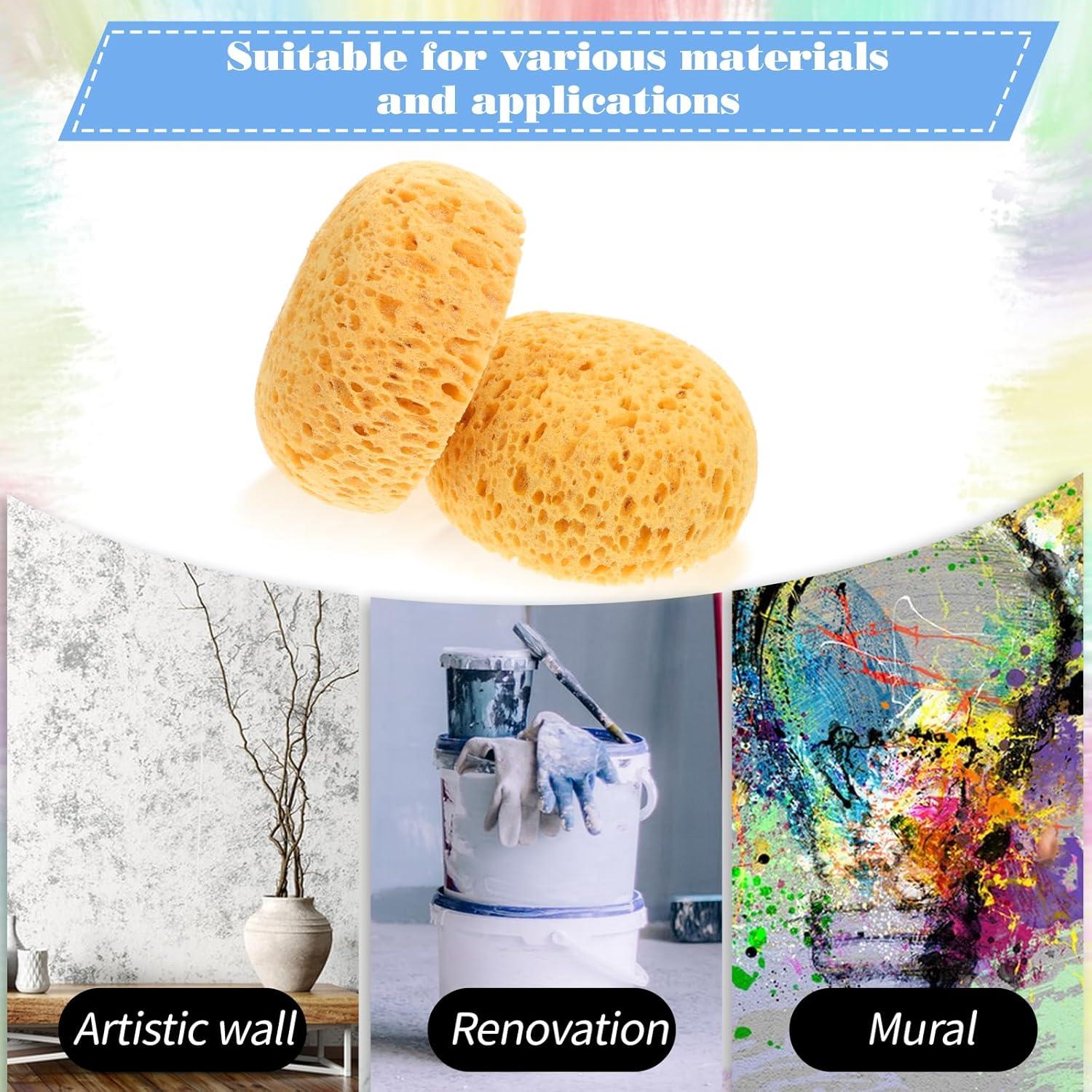 Esponjas Texturizadas para Pintura Ptwola - 2 Pcs 13.5x11.5 cm