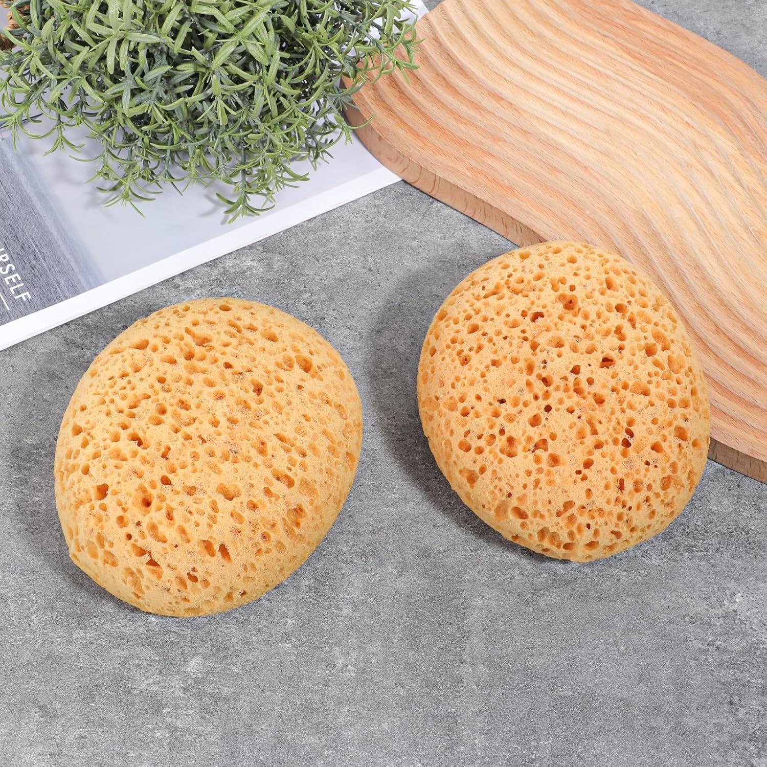 Esponjas Texturizadas para Pintura Ptwola - 2 Pcs 13.5x11.5 cm