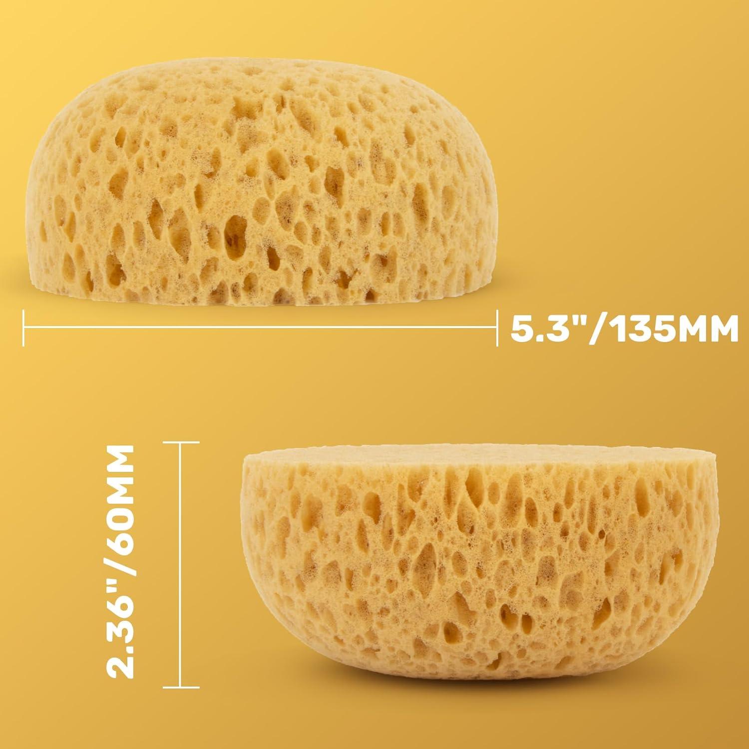 Esponja Texturizada Knockdown MAQIHAN - 2 Piezas para Reparación de Paredes