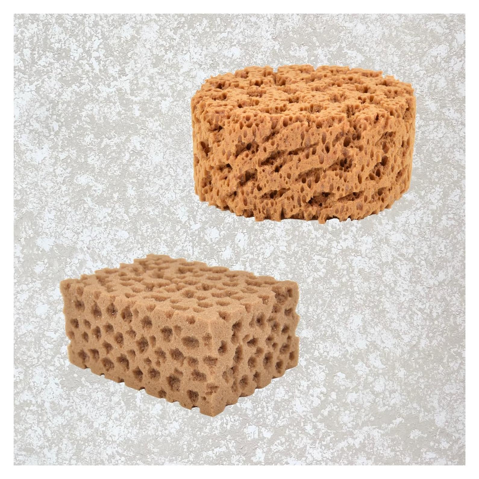 Esponjas Marinas Hanroy para Artistas - 2 Piezas Texturizadoras