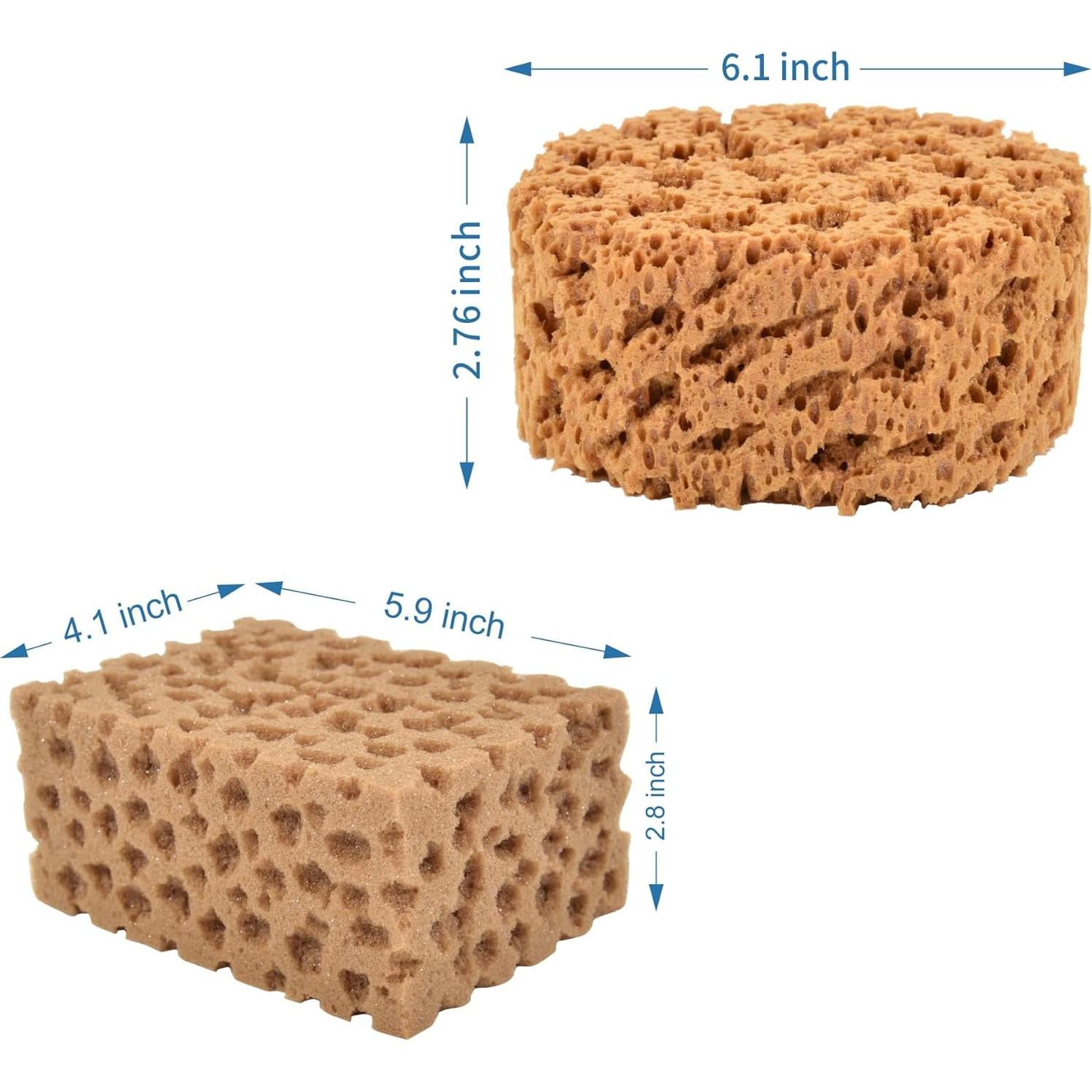 Esponjas Marinas Hanroy para Artistas - 2 Piezas Texturizadoras