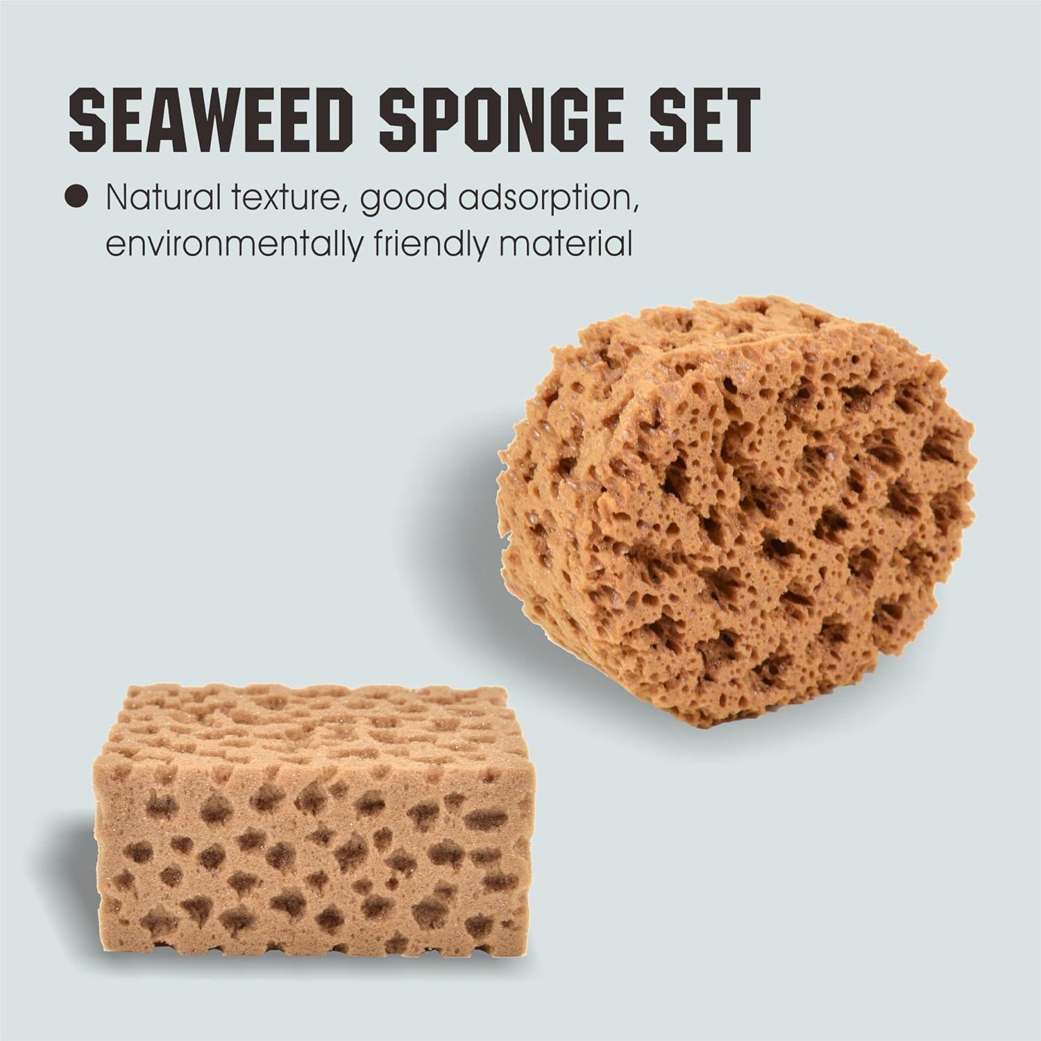 Esponjas Marinas Hanroy para Artistas - 2 Piezas Texturizadoras