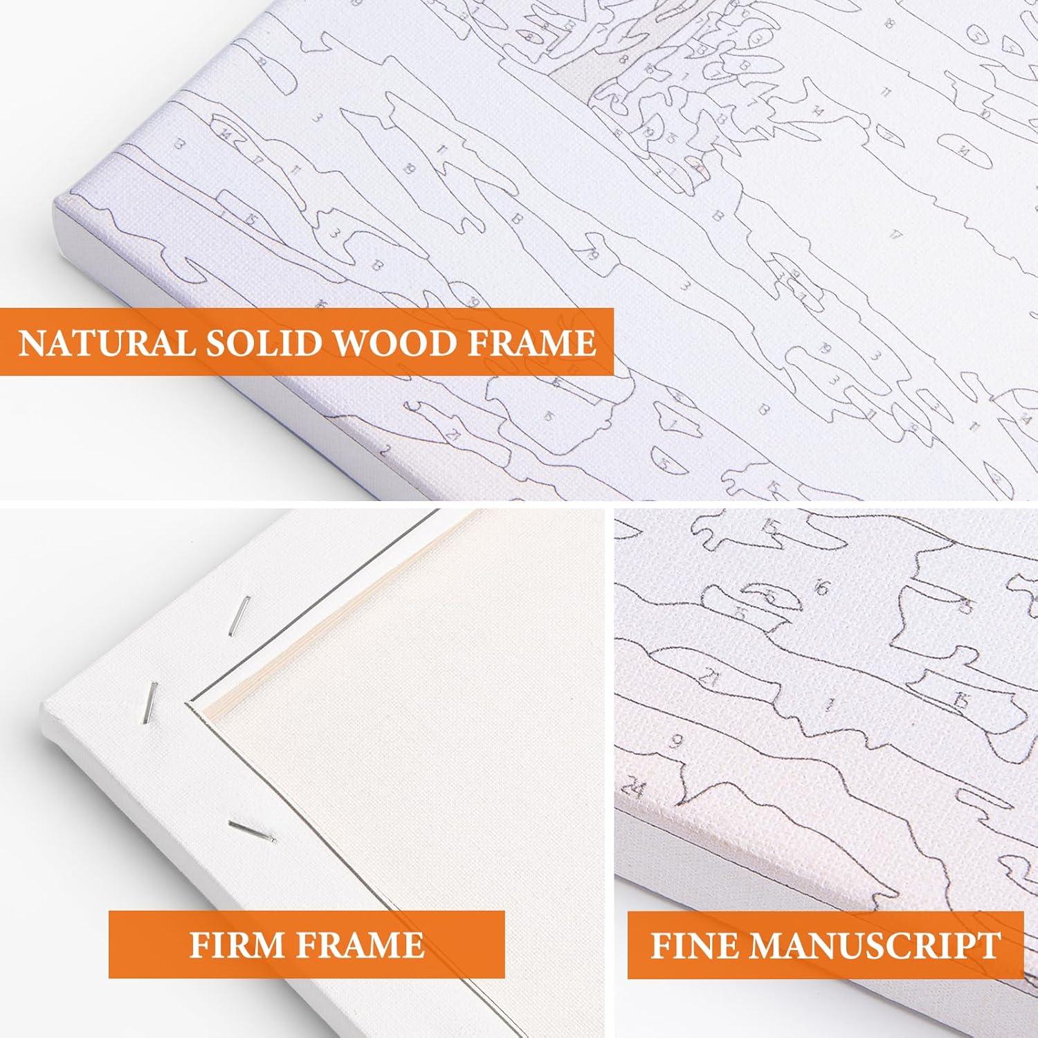 Kit de Pintura por Números Fountor 20x30 cm con Marco