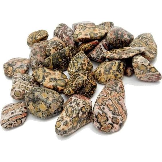 Piedra Jaspe Leopardo Pachamama Essentials 20-25mm - 5 Unidades