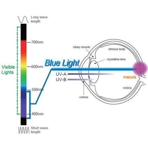 Protector de Pantalla 17.3" EYES PC Bloqueo Luz Azul 100%