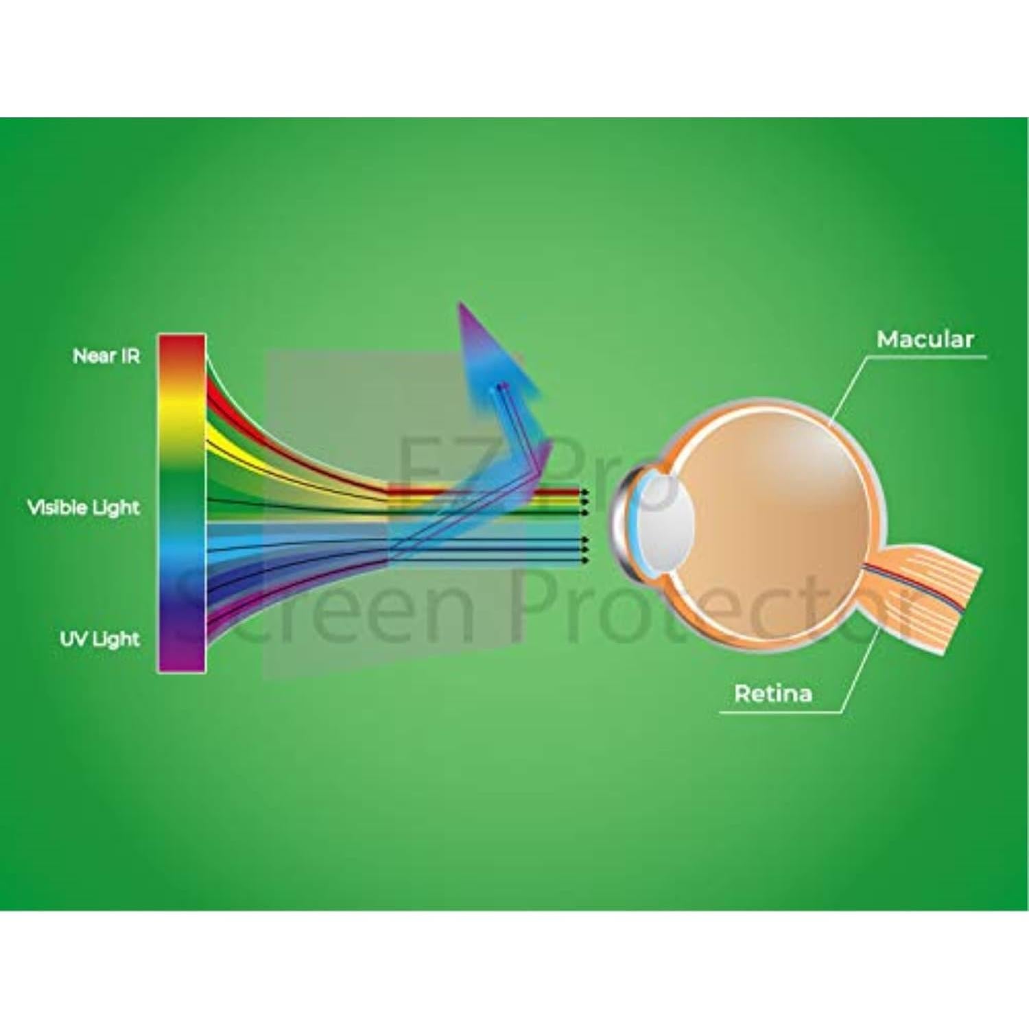 Protector de Pantalla Anti Luz Azul EZ-Pro 24" (Paquete de 3)