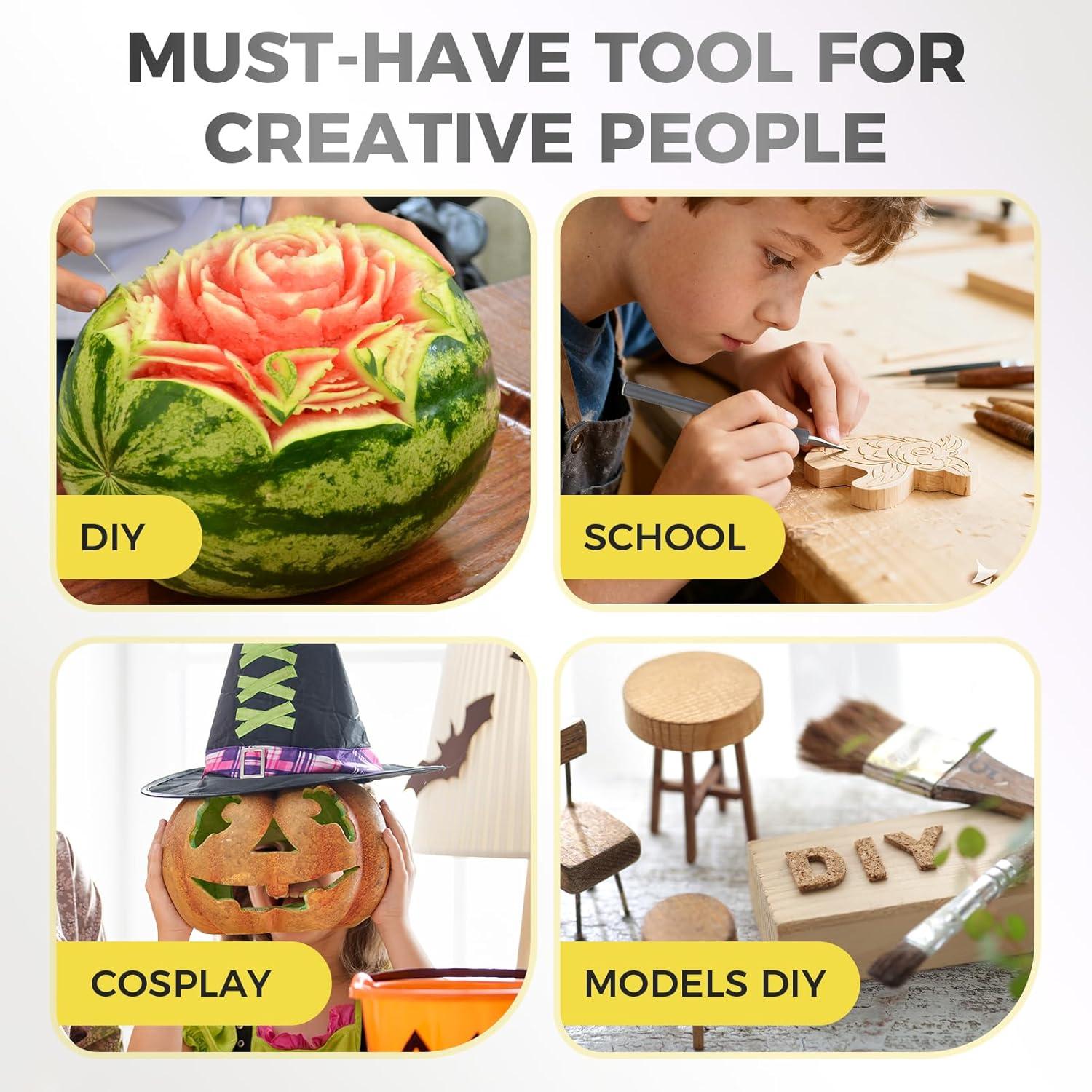 Juego de Cuchillos de Precisión Ahviesli, 12 Piezas con Estuche