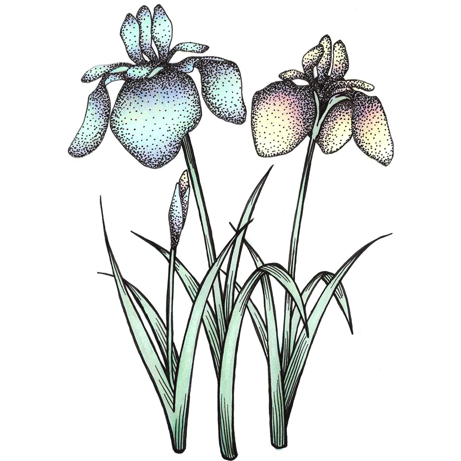 Set de Marcadores Copic Sketch 6 Piezas + Pluma Multiliner SP