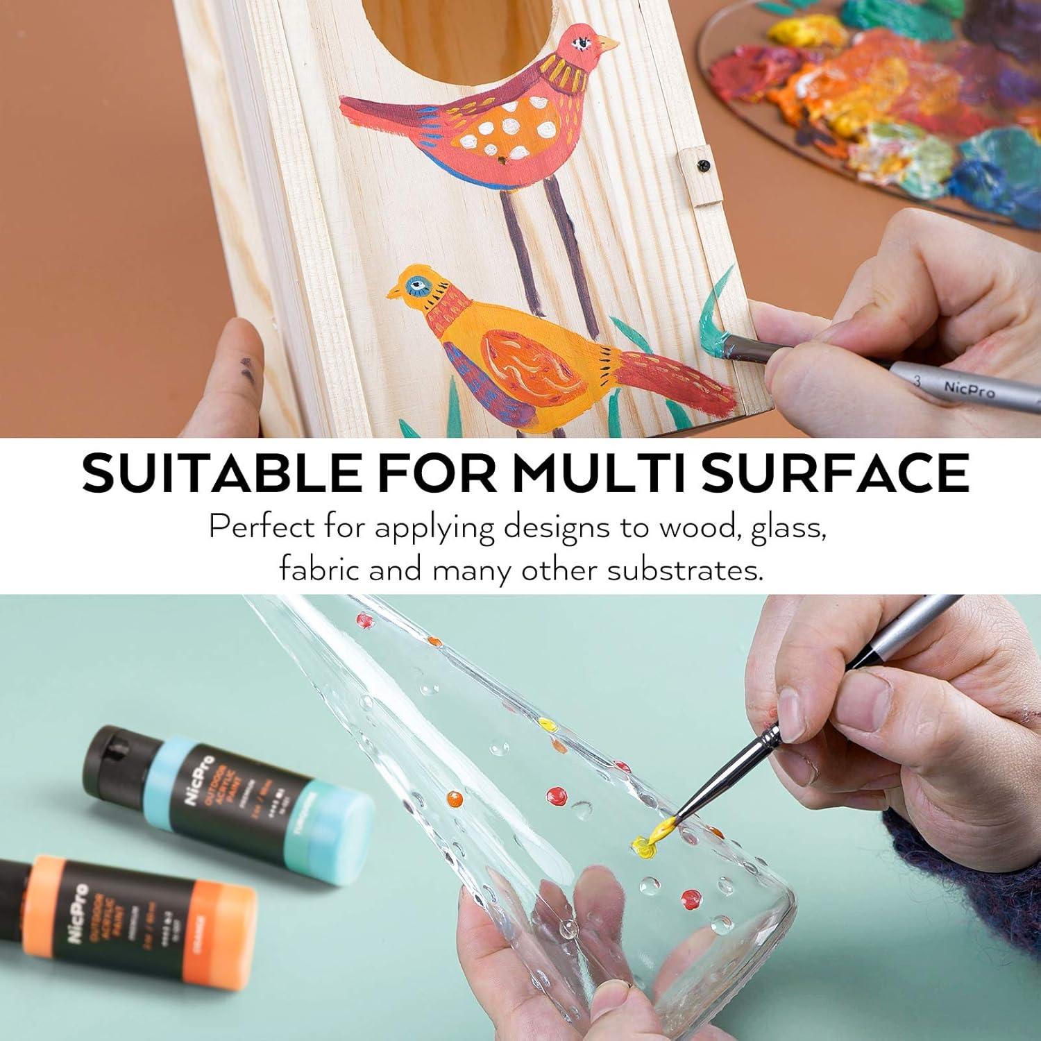 Pintura Acrílica Exterior Nicpro 32 Colores 60 ml No Tóxica