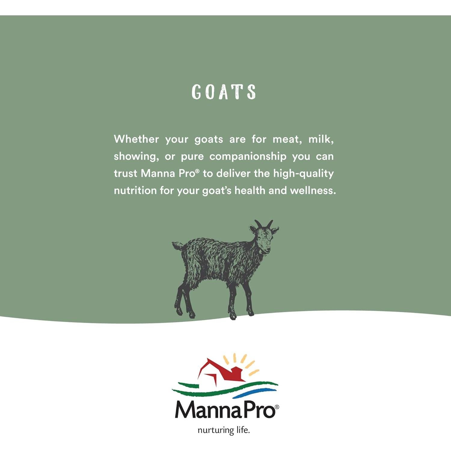 Acondicionador de Cuero Neatsfoot Lexol 1L | Suaviza y Protege