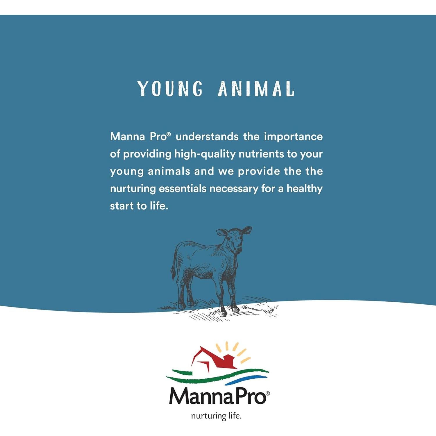 Acondicionador de Cuero Neatsfoot Lexol 1L | Suaviza y Protege