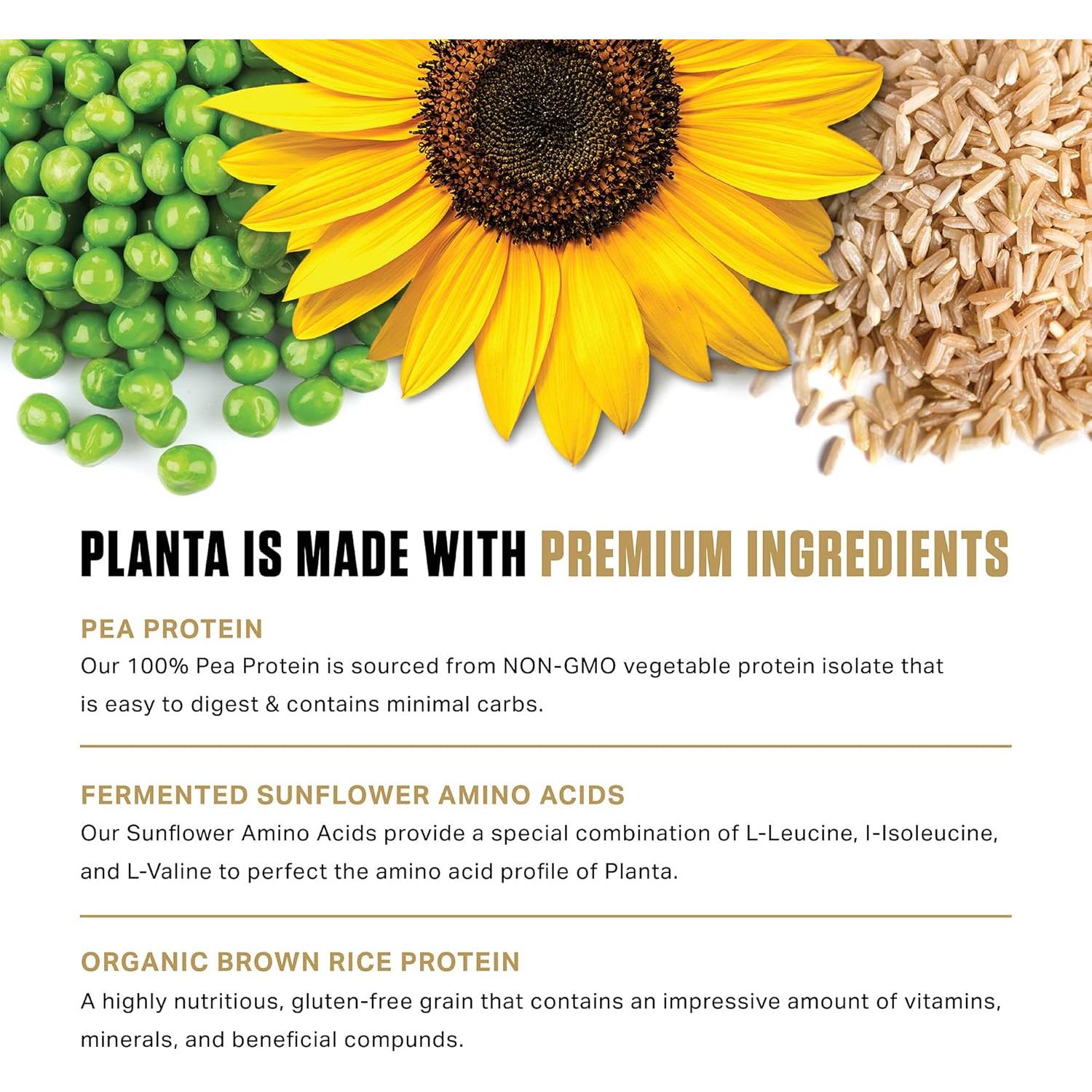 Polvo de Proteína Vegana Ambrosia 20g - Plátano Arce