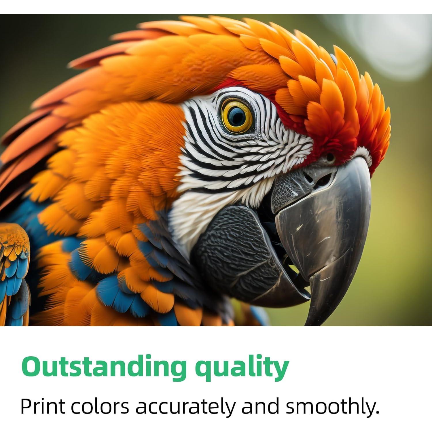 Cartuchos de tinta compatibles myCartridge PC501 para Brother