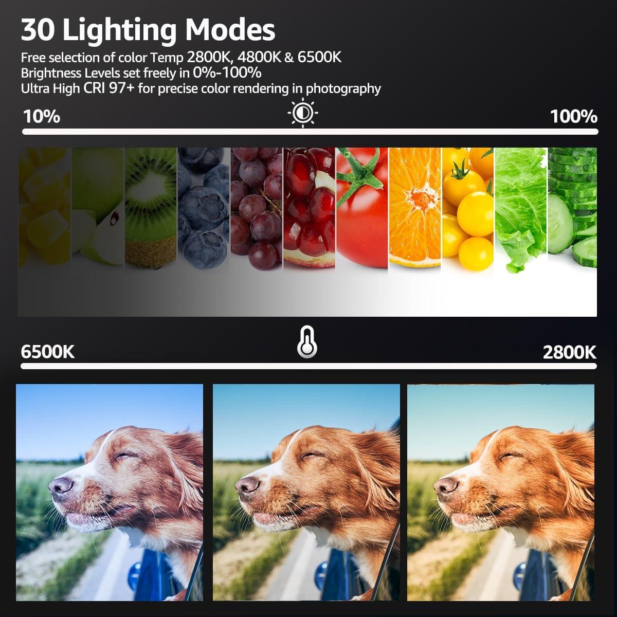 Kit de Luz LED NiceVeedi 2 Paquetes 2800-6500K con Trípode