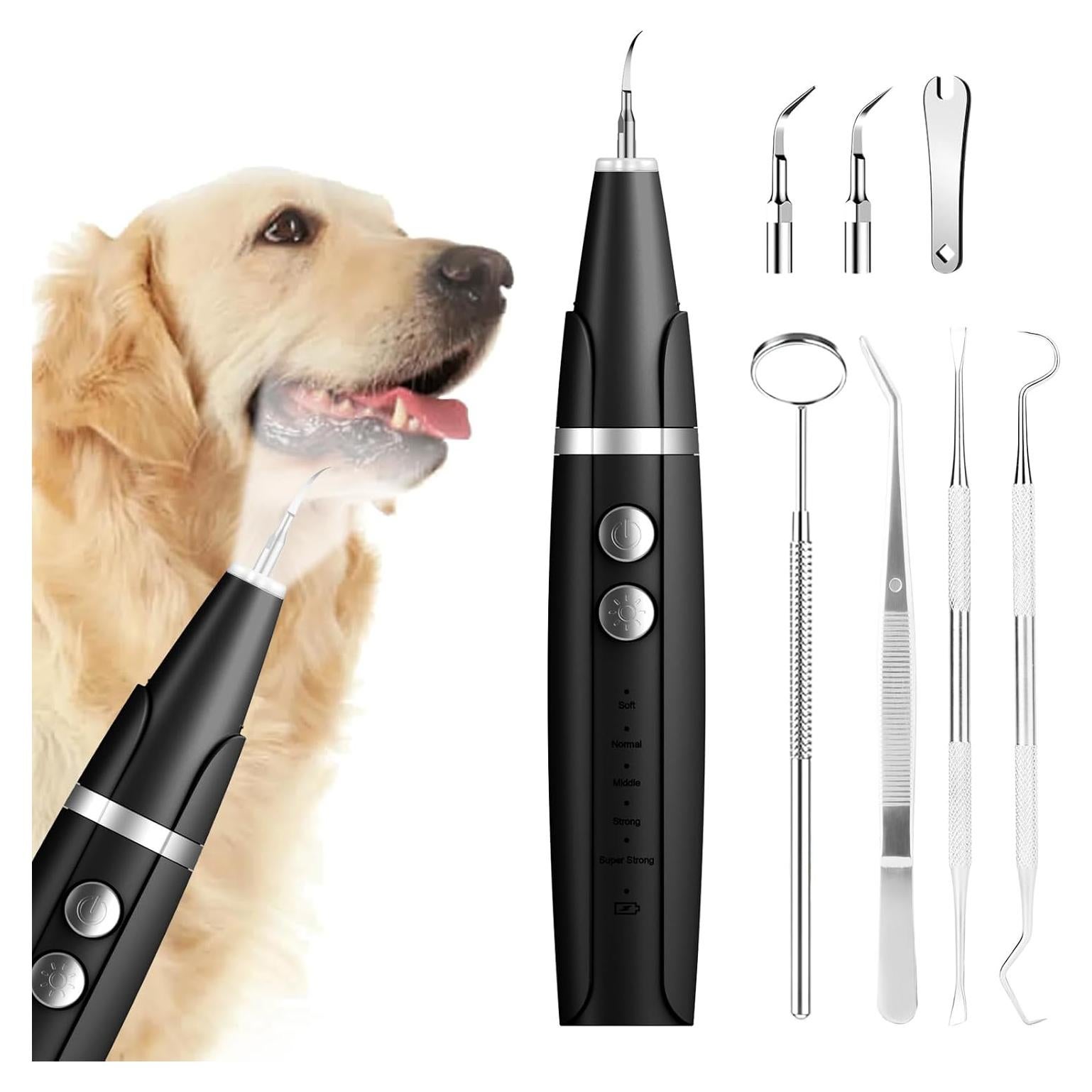 Limpiador Ultrasónico de Dientes para Perros Ni-SHEN, 5 Modos