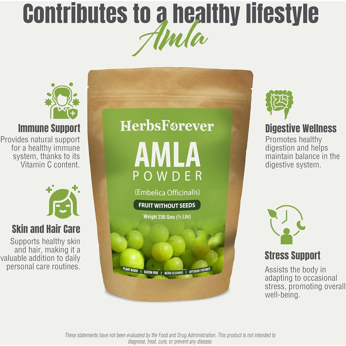 Polvo de Amla Herbsforever 230g | Vitamina C y Antioxidantes